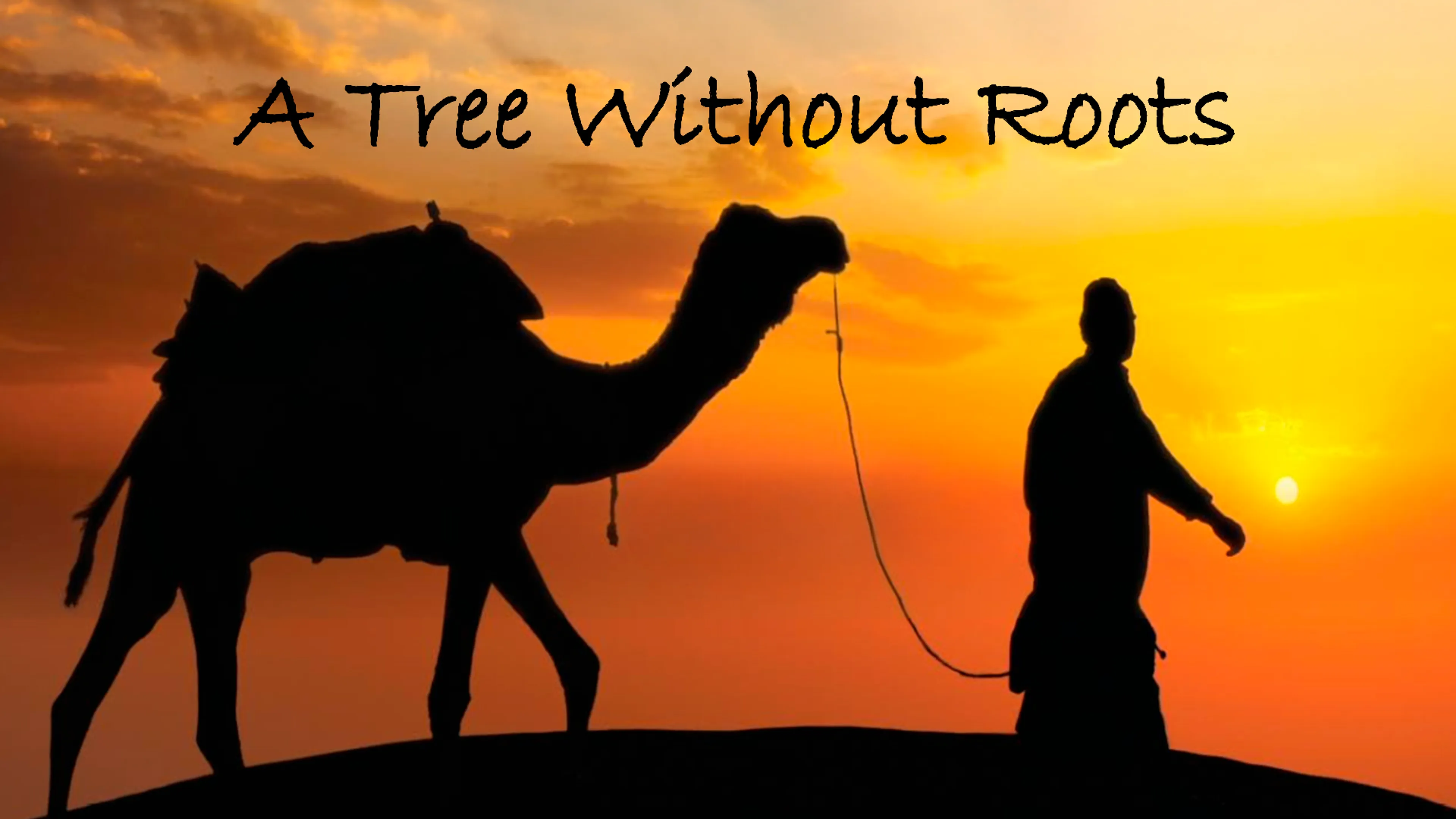 A Tree Without Roots poster